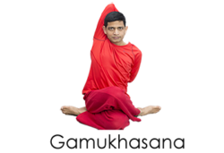 Gamukhasana