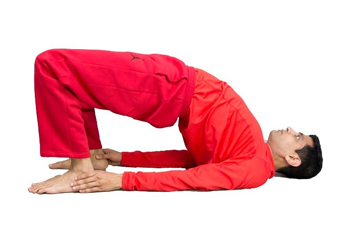yoga, bridge pose, setu bandha sarvangasana Stock Vector | Adobe Stock